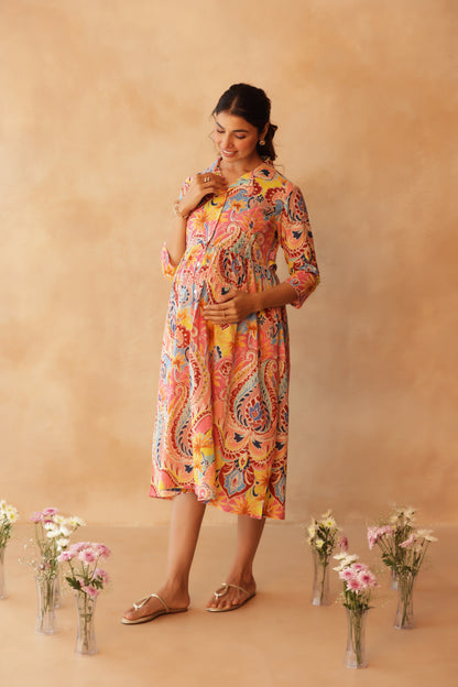 Gulabi Gulmohar Maternity & Nursing Dress