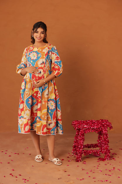 Desi Botanica Maternity & Nursing Dress