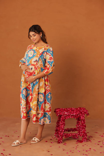 Desi Botanica Maternity & Nursing Dress