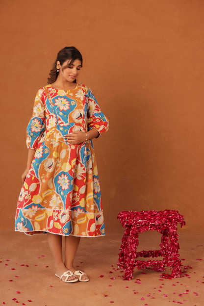 Desi Botanica Maternity & Nursing Dress