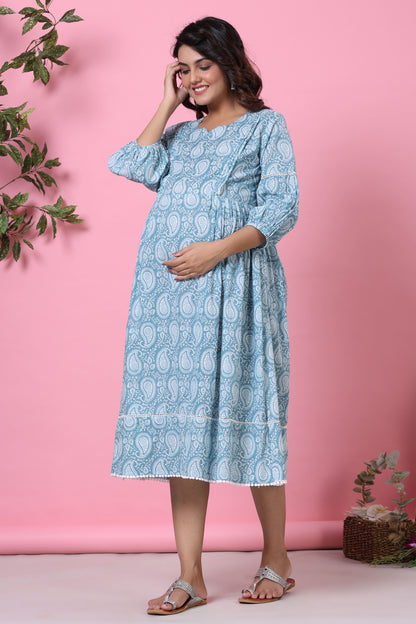 Paisley Finesse Maternity & Nursing Dress