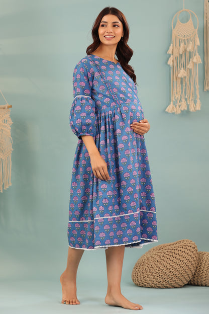 Nautical Rose Maternity & Nursing Dress